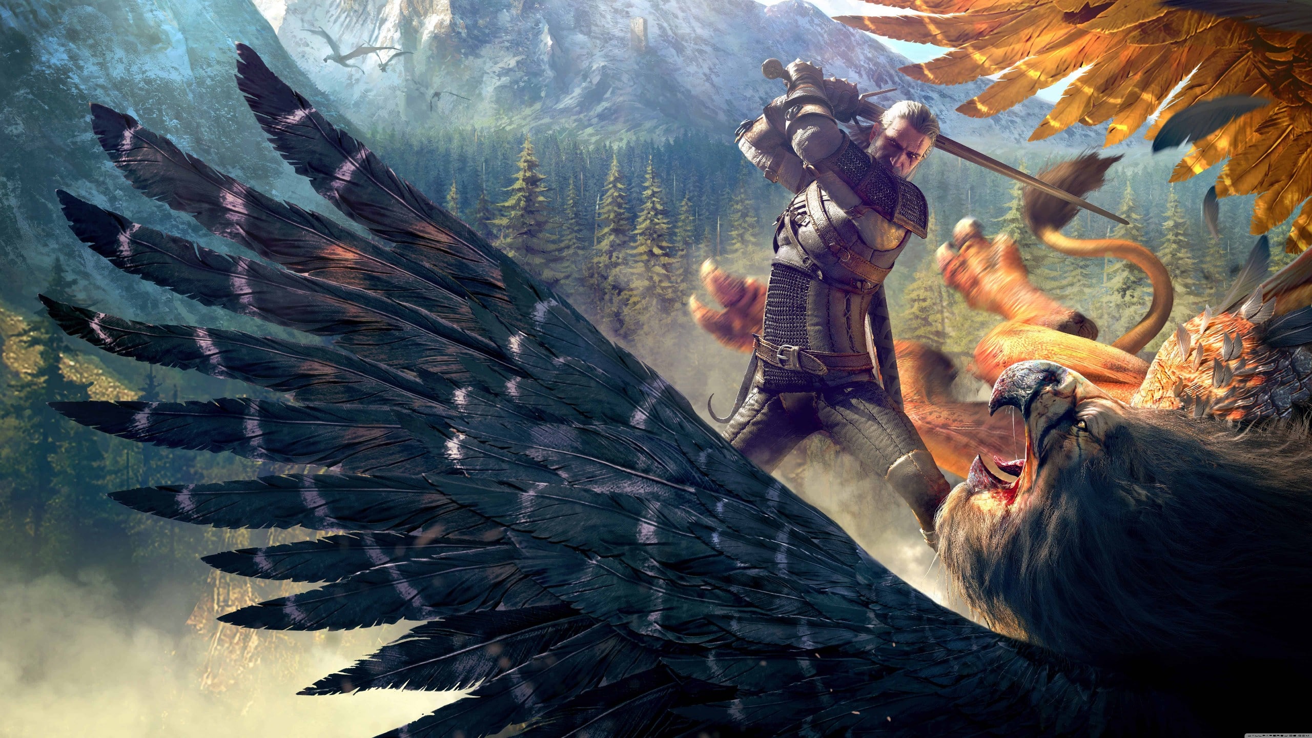 Podgląd projektu The Witcher Website