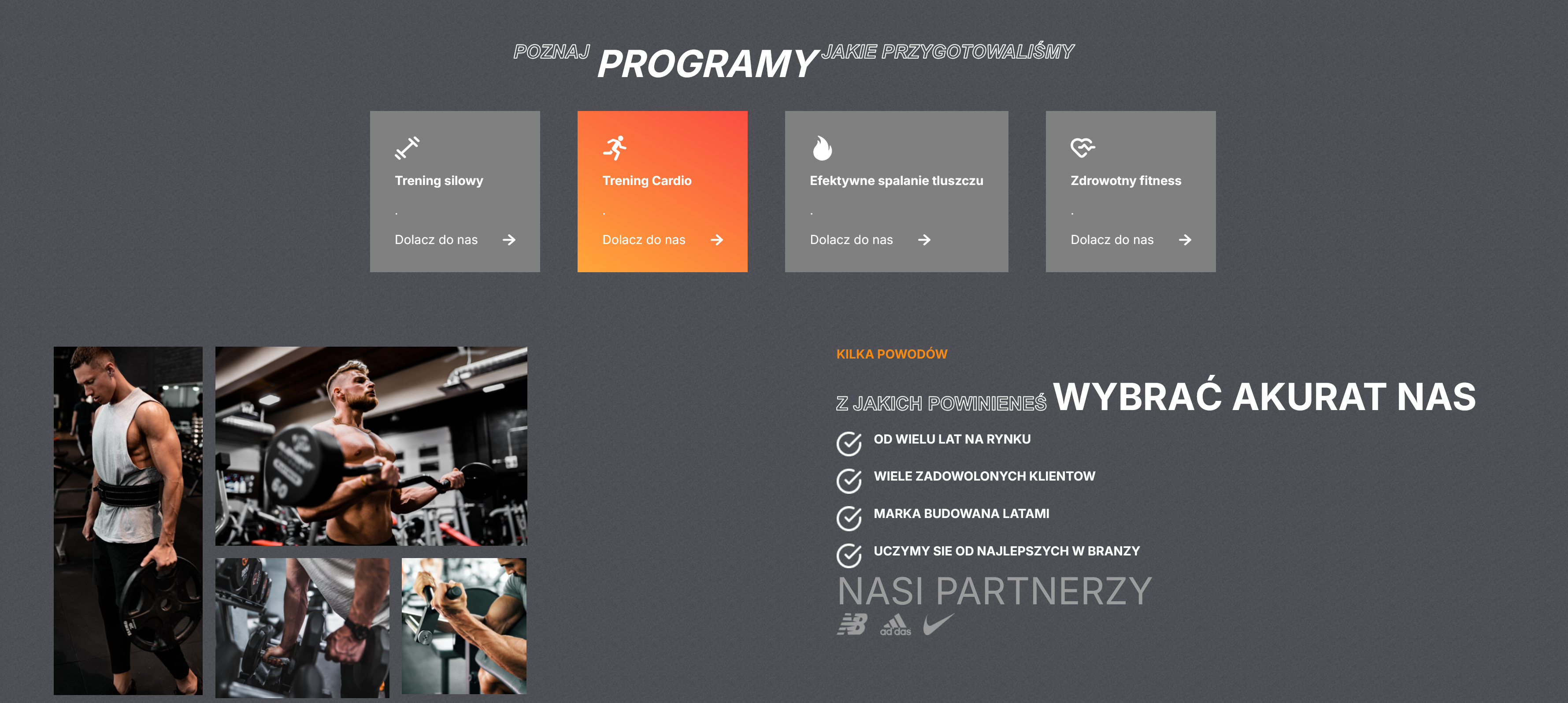 Podgląd projektu Gym City Website